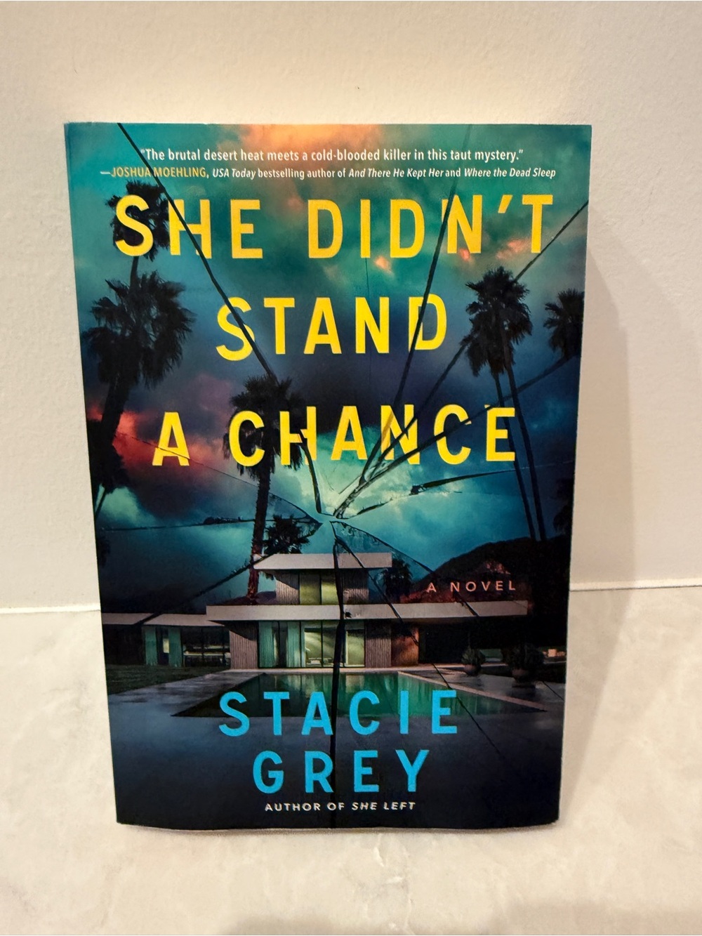 She Didn’t Stand a Chance novel by Stacie Grey